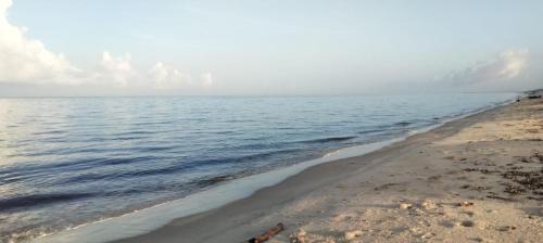 Cherthala Bed & Breakfast | Dolphins Turf