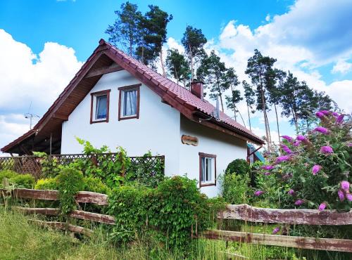 gmina Mieleszyn Villa | Dom nad jeziorem - Brzozowa Chatka
