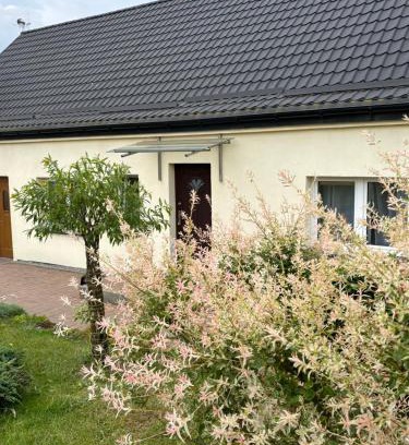 Ustronie Morskie House | Family-Friendly Dom Wakacyjny na Wsi Near the Sea