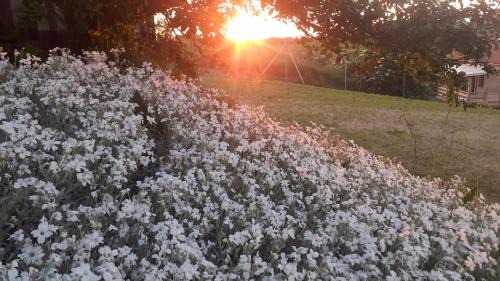 Pietrasze House | Cozy Dom Wypoczynkowy: Pet & Child Friendly Retreat