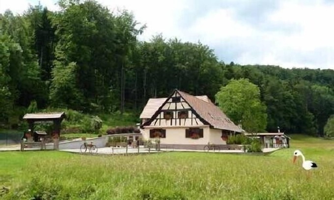 Wangenbourg-Engenthal Cottage | Elegant Domaine de la Mossig - Guest Rated 9.8/10, Spa & More