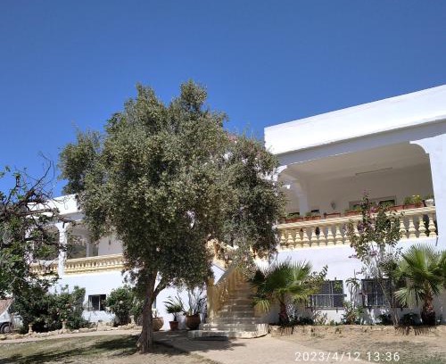 Mrhassiyine House | Discover Domaine des Sloughis: Oceanfront Bliss Awaits