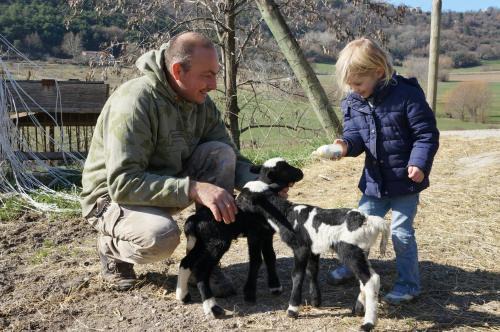 Forcalquier House | Idyllic Domaine du Bas Chalus: Pet-Friendly with Ocean Views