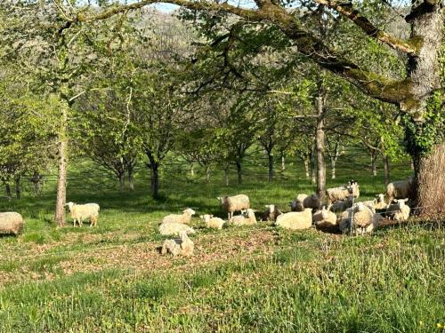 Paulin Villa | Discover Domaine la Noyeraie in Périgord Noir's Beauty