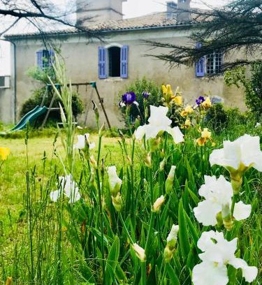 Sauve Hotel | Pet Friendly Retreat at Domaine Mas Pigné with Breakfast