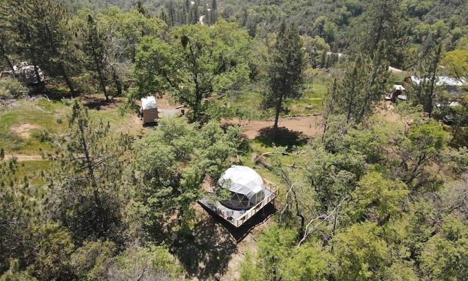 Dunlap Apartment | Discover Dome 3 in the Enchanted Forest - Family Friendly Retreat