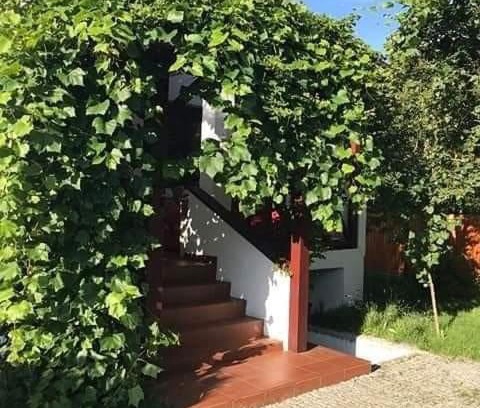 Warta House | Experience Domek Cicho Sza: Pet-Friendly Retreat with Top Ratings