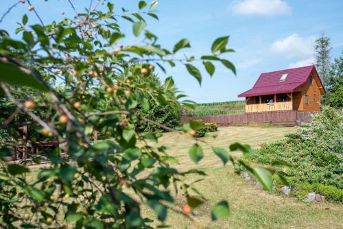 Jaminy House | Unforgettable Stay at Domek na górce - Guest Rated 9.9/10