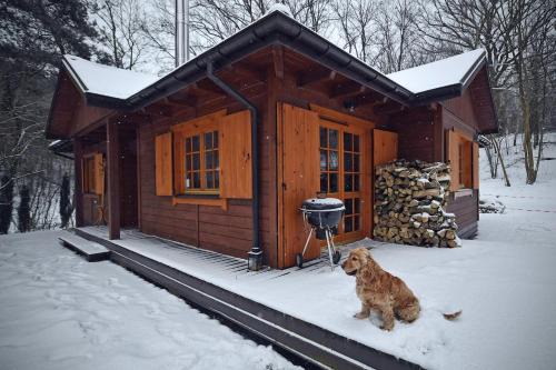 Kazimierz Dolny Villa | Pet-Friendly Domek na Stoku: Guest Rated 9.6/10