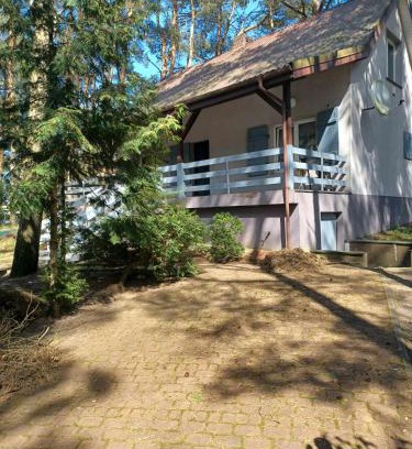 gmina Piotrkow Kujawski House | Guest Rated 10/10: Domek pod Sosnami by Głuszyńskie Lake
