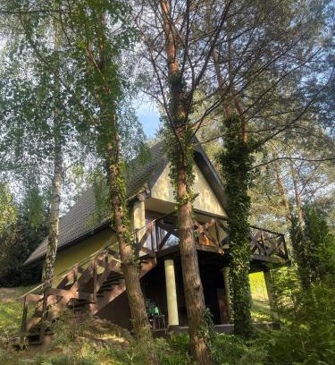 Gasawa House | Pet-Friendly Domek Sosnowe Wzgórze: 10/10 Guest Reviews