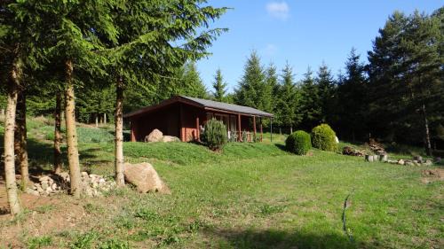 Lubicz Apartment | Discover Domek w Dolinie Drwęcy: 10/10 Guest Rated Retreat