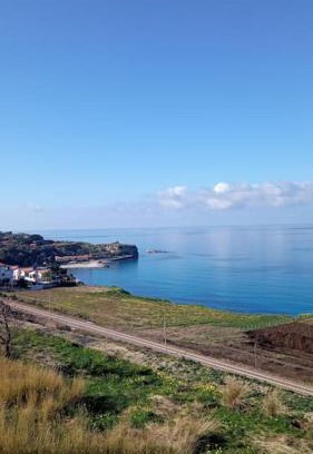 Briatico House | Dominicus I