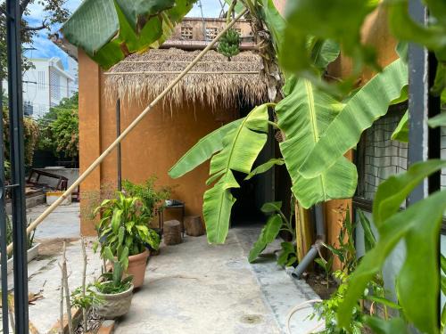 Vinh Hai Bed & Breakfast | Discover Domino Garden House: Perfect for Families & Pets