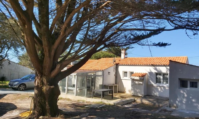 Domino House | Discover Domino on Île d'Oléron - Family & Pet-Friendly Stay