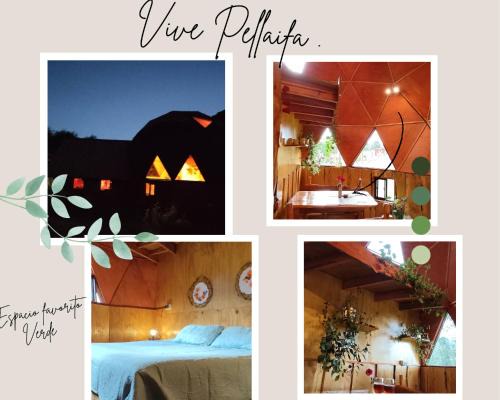 Conaripe Apartment | Experience Unforgettable Stays at Domo Vive Pellaifa