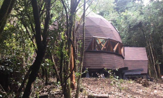 Panguipulli Apartment | Pet-Friendly Escape at Domos Hijos del Bosque - 10/10 Rated