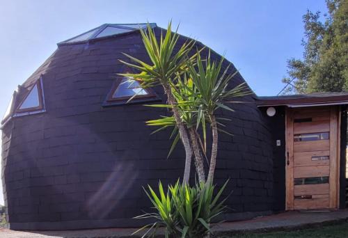 San Carlos Cabin | Experience Unforgettable Stays at Domo Mi Espacio Rustiko
