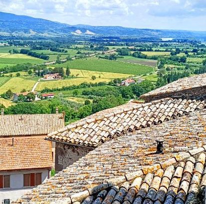 Castiglione in Teverina House | Pet-Friendly Getaway at Domus Claudia - Rated 9/10!