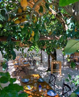 Monte di Procida Hotel | Pet Friendly Don Salvatore Resort | Rated 10/10 Stay Experience