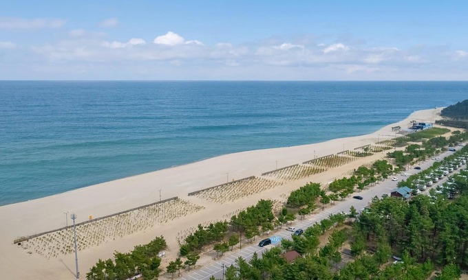 Donghae House | Cozy Donghae Starbeach Pet Pension with Family-Friendly Amenities