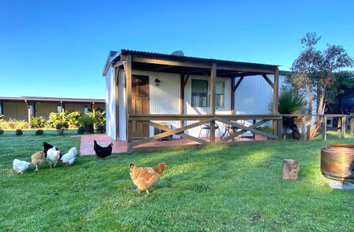 Wilga House | Welcoming Wilga Farm Stay: Family-Friendly Cockatoo Cottage