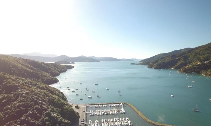 Waikawa Bay Apartment | Experience Dons Place: Oceanfront Bliss with Breakfast