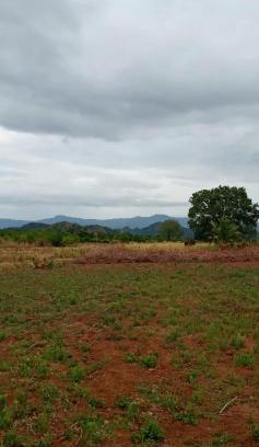 Wellawaya Other | DOP Camp Site Resort