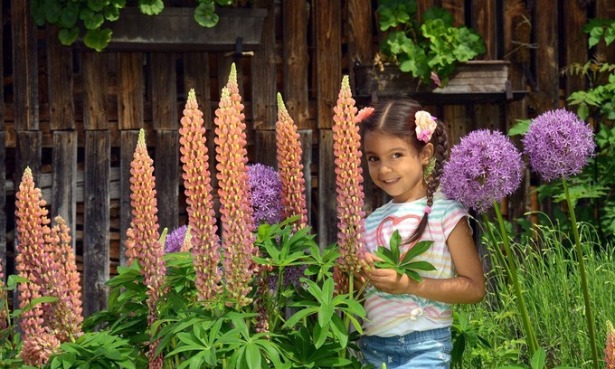 Falkenburg Apartment | Family-Friendly Getaway at Doppelzimmer "grimmingliab"
