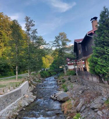 Cartisoara House | Inviting Retreat at Dor de Munte Transfăgarasan: 8.8/10 Rated