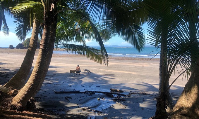 Torio House | Cozy Beachfront Boutique Hotel with Ocean View Balcony