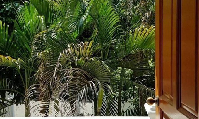 Chiang Mai House | Guest Rated: Double Tree House with Family-Friendly Amenities