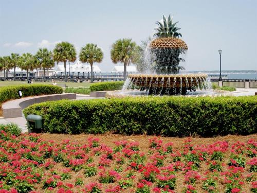 Charleston Hotel | Inviting Cambria Hotel Charleston Riverview with Pool & Ocean View