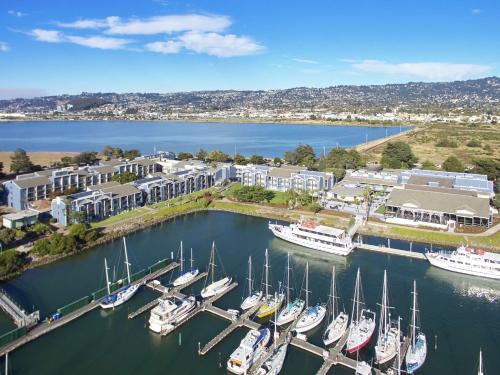 Berkeley Hotel | Pet-Friendly Retreat at DoubleTree by Hilton Berkeley Marina