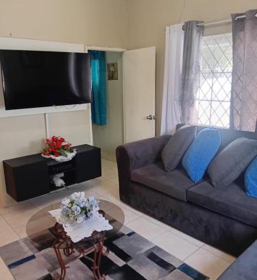 Portmore Apartment | DOUG MANOR flat1