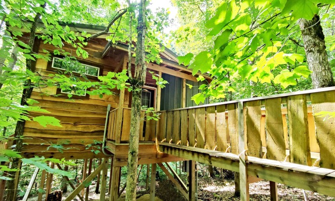 Monteagle Cabin | Experience Dove Treehouse Getaway: Hot Tub & Firepit Oasis