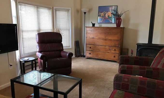 Crested Butte House | Downtown C B: Contemporary 2BR with Spectacular Views