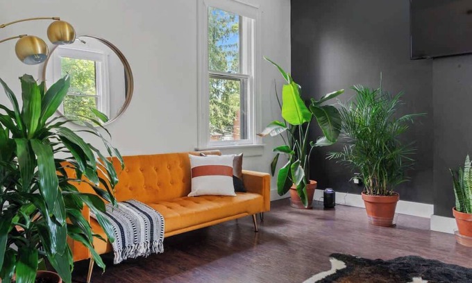 Chillicothe House | Experience Jungle Thyme: Pet-Friendly Retreat in Downtown