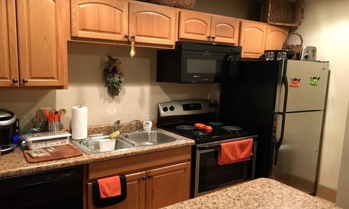 Bismarck Apartment | Elegant Downtown 1 Bedroom with Spa and Kitchen