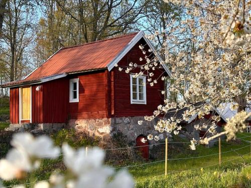 Ydre Municipality House | Drängstugan - Tiny House