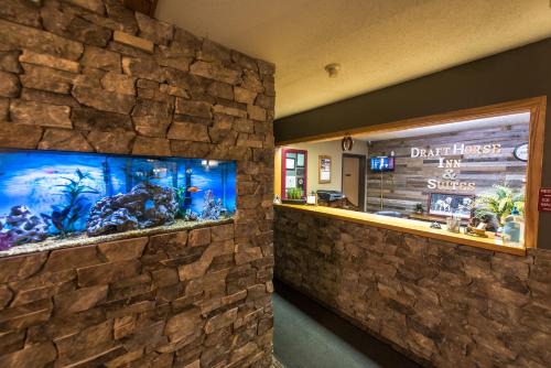 Arcadia Hotel | Pet-Friendly Comfort at Draft Horse Inn and Suites