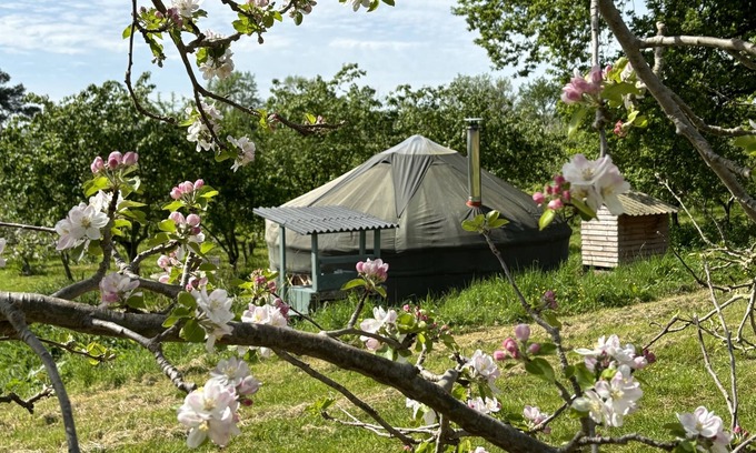 Ledbury Other | Dragon Orchard Retreat: Guest Rated 10/10 with Breakfast Included