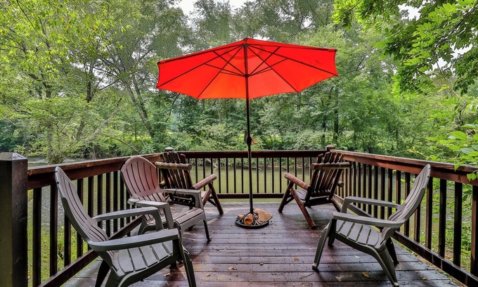 Ellijay Cabin | Guest Rated 10/10: Dragonfly Cabin on the Cartecay River