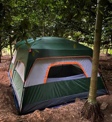 Irinjalakuda Other | Pet-Friendly Dragster Tents with Oceanfront Views