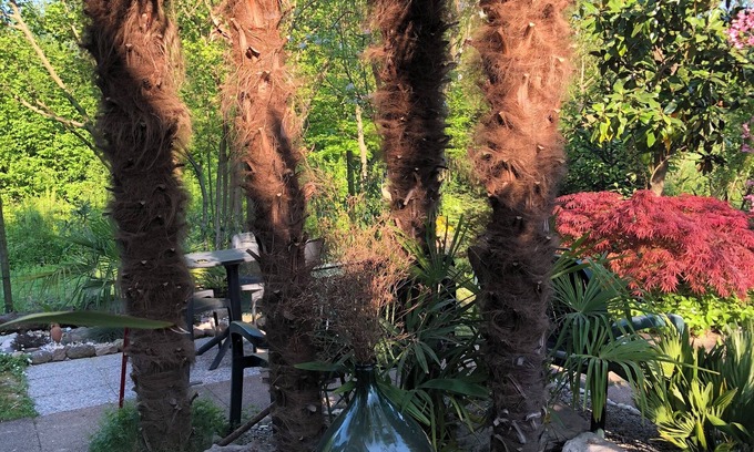 Dese Hotel | Dream Hotel: Eco-Friendly Stay with Spa and Dining Options