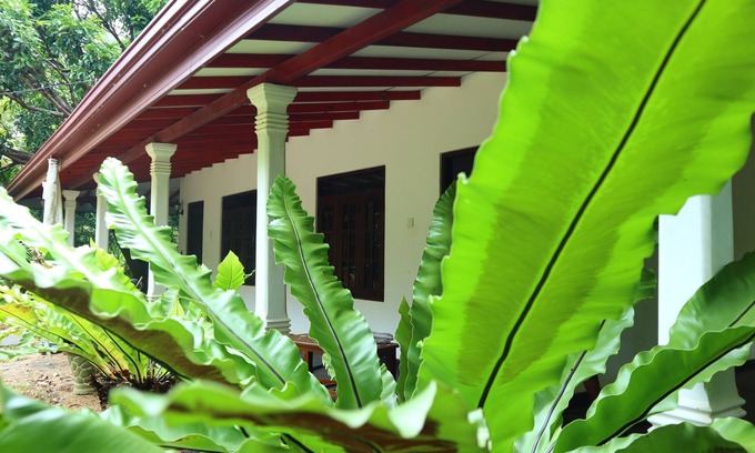 Sigiriya Bed & Breakfast | Eco-Friendly Dream Weaver Homestay in Sigiriya