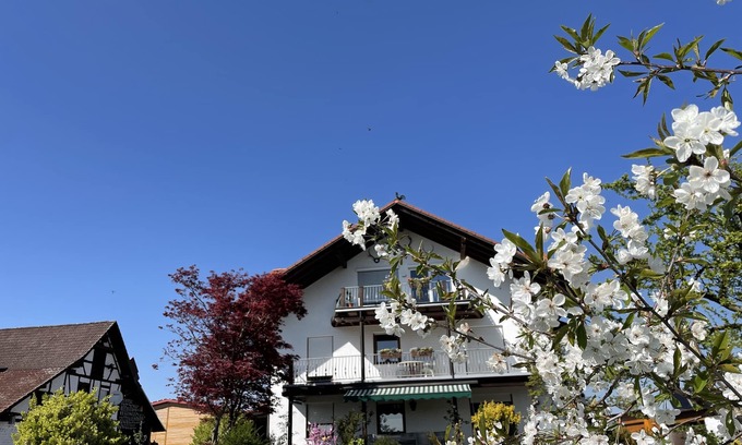 Waggershausen Apartment | Idyllic Estate on Lake Constance with Alpine Views
