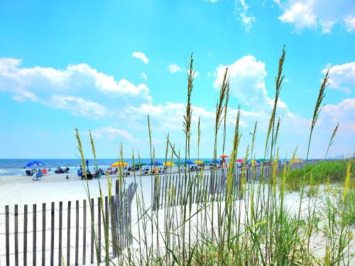 Myrtle Beach House | Relaxing Getaway at Dreams By The Sea with Pool Access