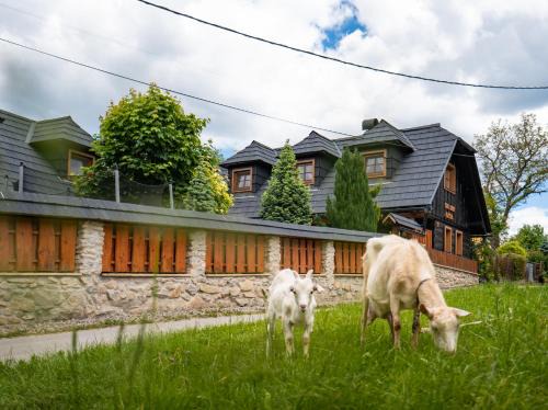 Durcina House | Discover Drevenička v Ďurčinej - Anna with Hot Tub Bliss