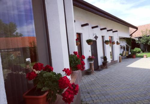 Voila Bed & Breakfast | Exceptional Dridif 135: Family-Friendly with Top Review Score
